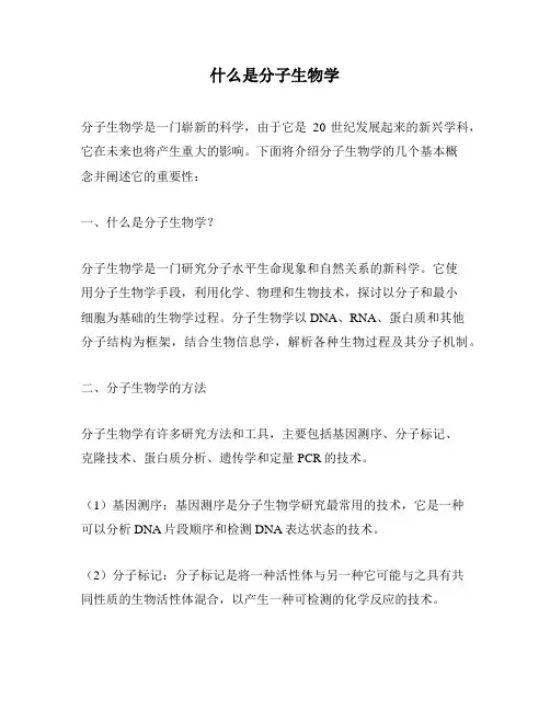 什么是分子生物学