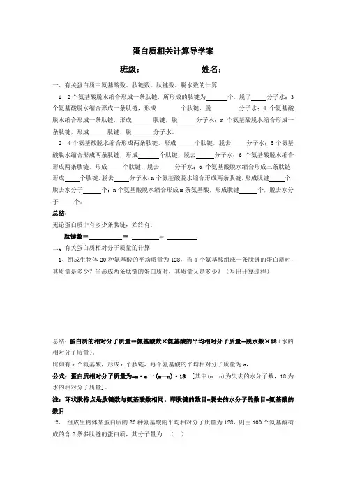 蛋白质相关计算导学案
