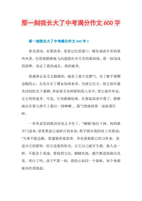 那一刻我长大了中考满分作文600字