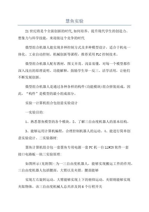 慧鱼实验_精品文档