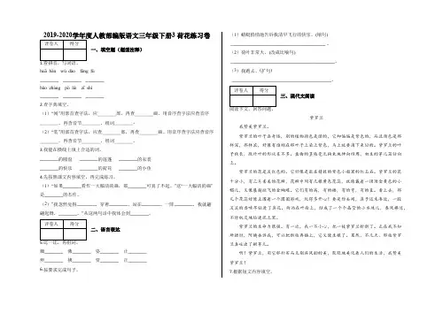 三年级下册3 荷花练习卷及答案-人教部编版语文