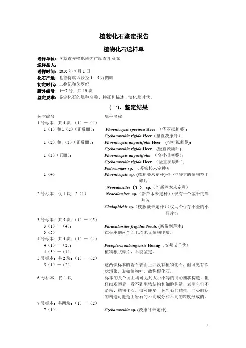 -----化石鉴定报告