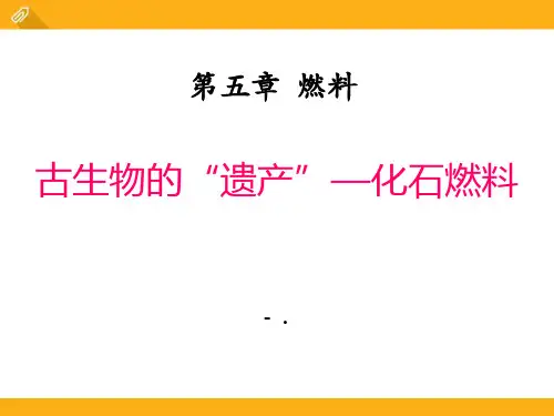 《古生物的“遗产”—化石燃料》燃料PPT课件3