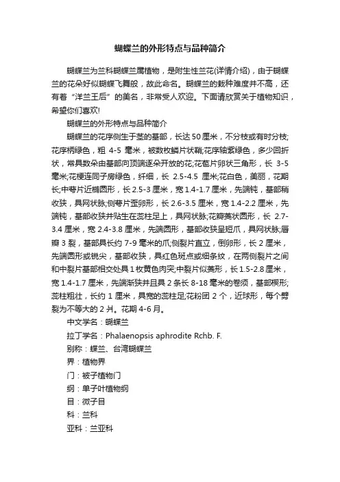 蝴蝶兰的外形特点与品种简介