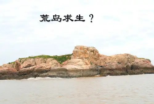 人教版高中生物必修三第5章第2节--生态系统的能量流动--课件(共28张PPT)