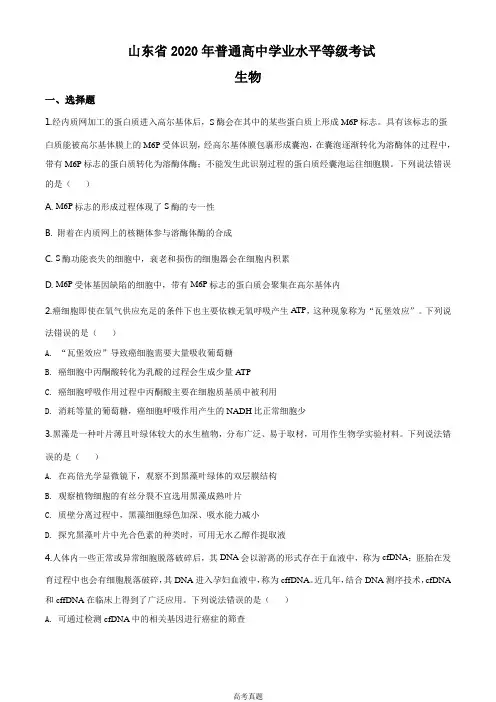 2020年新高考全国卷Ⅰ生物高考试题文档版(山东)(含答案)