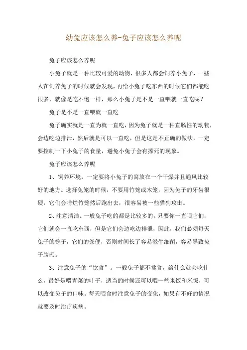 幼兔应该怎么养-兔子应该怎么养呢