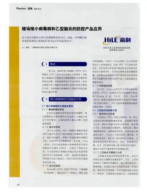 猪场细小病毒病和乙型脑炎的防控及产品应用