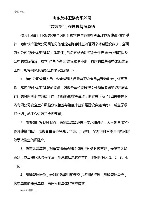 “两体系”工作建设情况总结