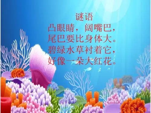 人美版美术一年级上册：第17课 谁画的鱼最大 课件 (4)