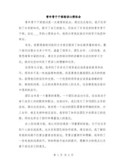 青年骨干干部培训心得体会