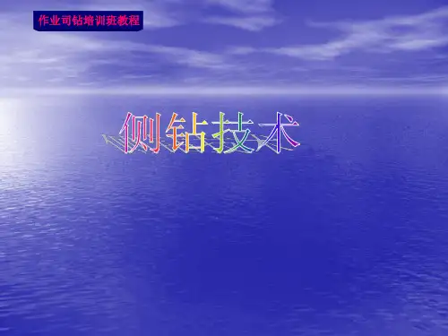 [实用参考]侧钻技术.ppt