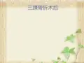 三踝骨折 PPT课件