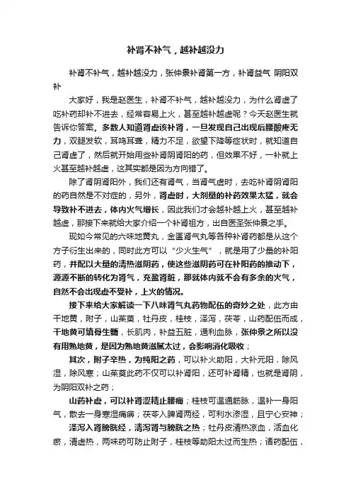 补肾不补气，越补越没力