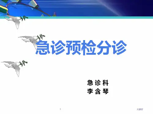 预检分诊 PPT