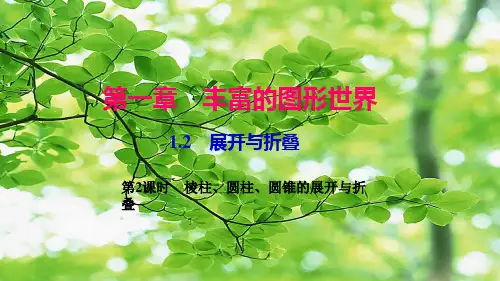 七年级数学 第一章 丰富的图形世界1.2 展开与折叠 第2课时 棱柱、圆柱、圆锥的展开与折叠作业