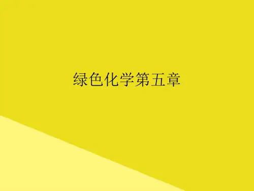 绿色化学第五章PPT资料(正式版)
