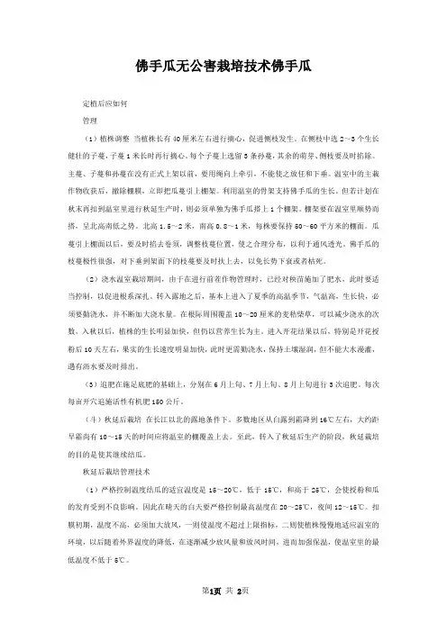 佛手瓜无公害栽培技术佛手瓜
