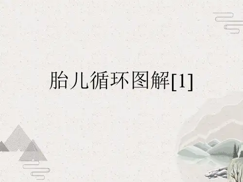 胎儿循环图解[1]