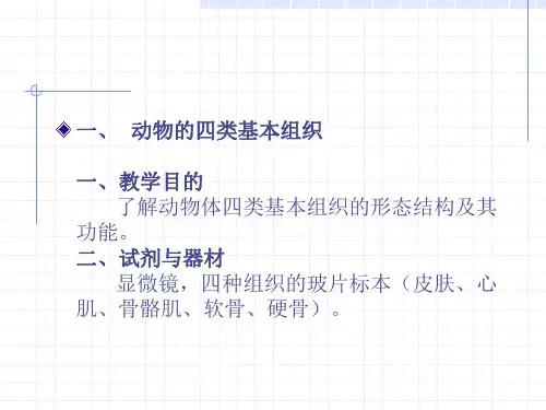 动物的四类基本组织