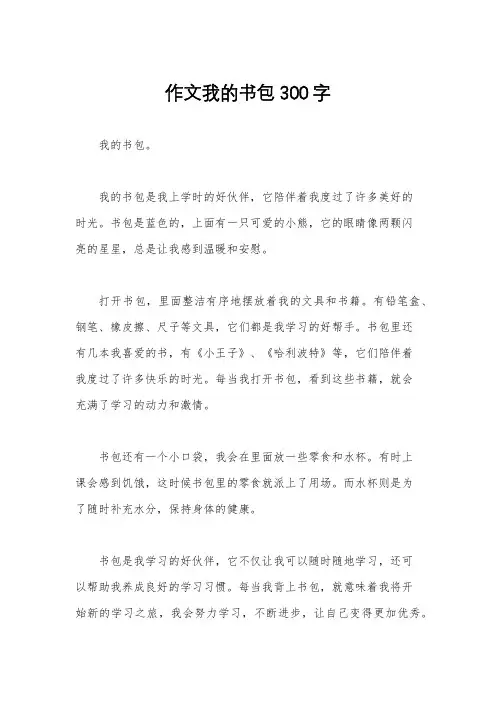 作文我的书包300字