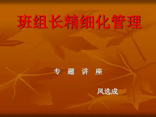 班组长精细化管理