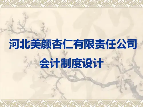 某公司会计制度设计案例(PPT 62页)