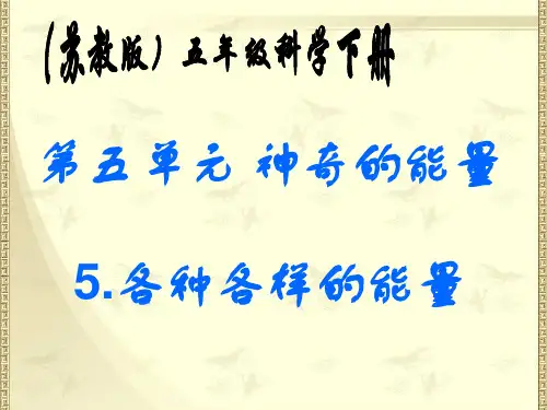 六年级下册科学各种各样的能量苏教版 (4)