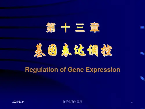 新编文档分子生物学原理--基因表达调控精品文档PPT课件