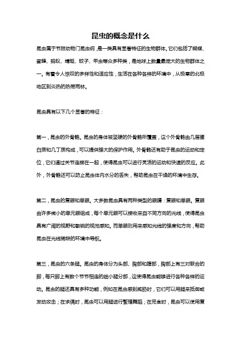 昆虫的概念是什么