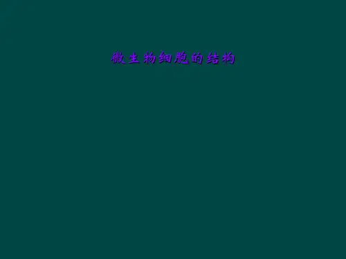 微生物细胞的结构