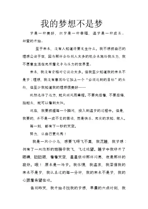 我的梦想不是梦