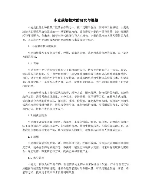 小麦栽培技术的研究与展望