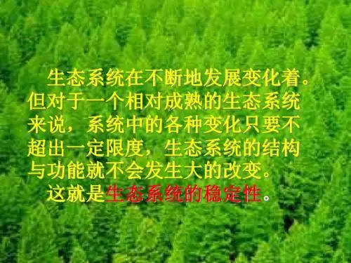 生态系统的稳定性