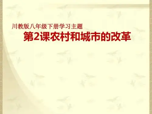 《农村和城市的改革》PPT实用课件9 川教版