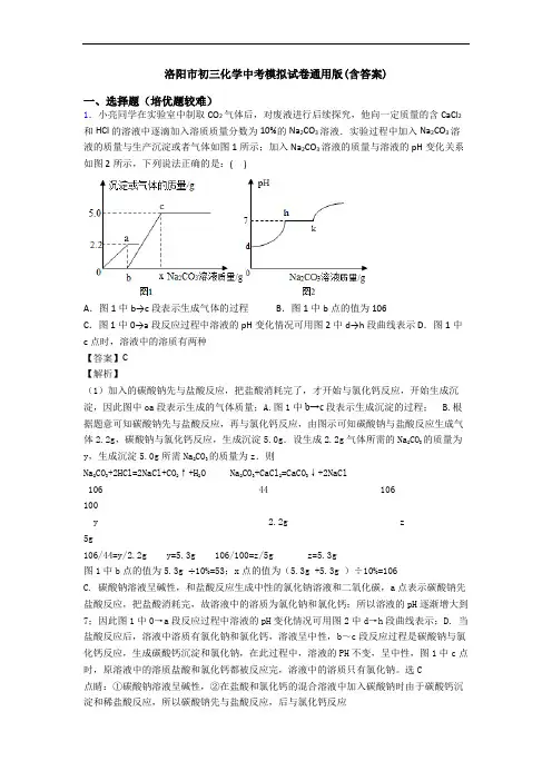 洛阳市初三化学中考模拟试卷通用版(含答案)