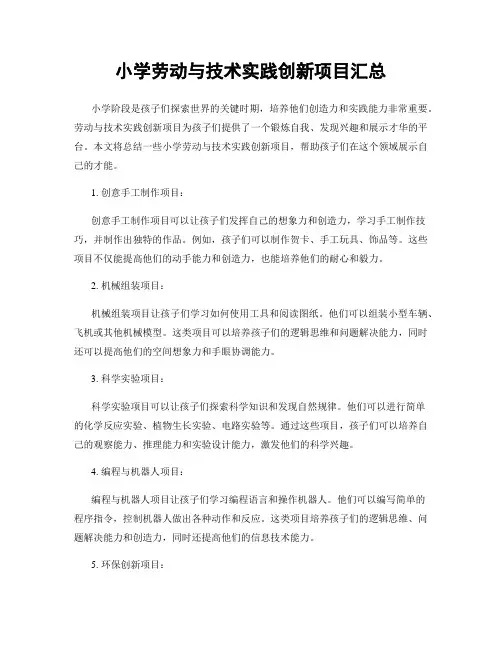 小学劳动与技术实践创新项目汇总
