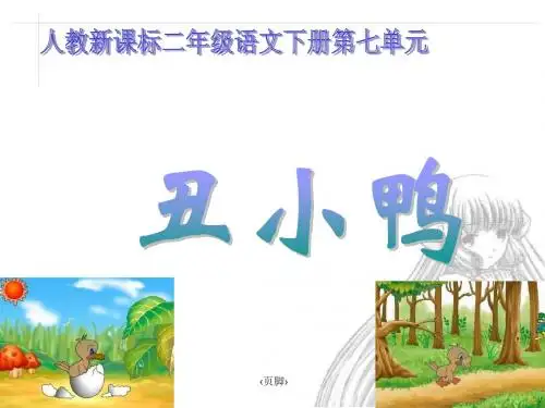 《丑小鸭》课件1