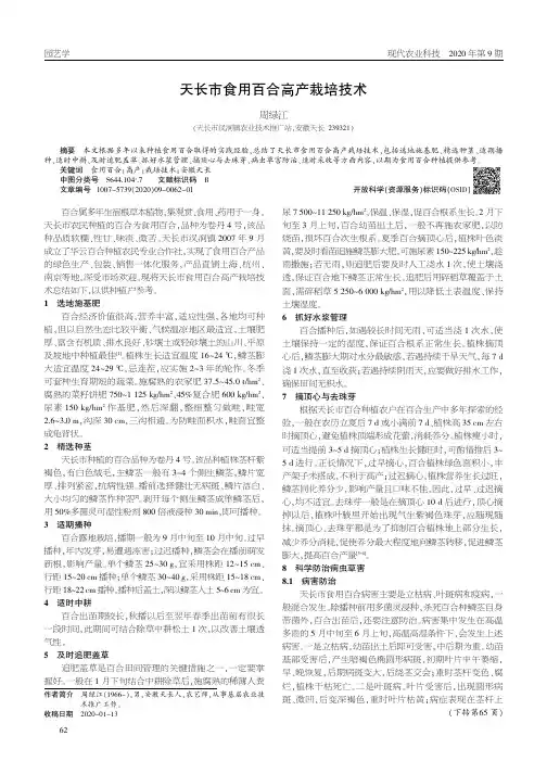天长市食用百合高产栽培技术
