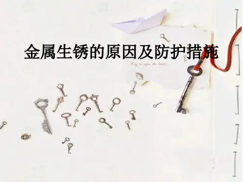 金属生锈的原因和防护措施方案