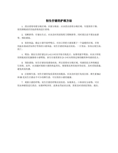初生仔猪的护理方法