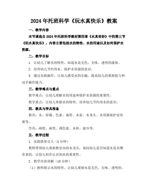 2024年托班科学《玩水真快乐》教案