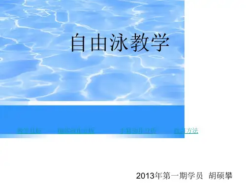 自由泳教学PPT