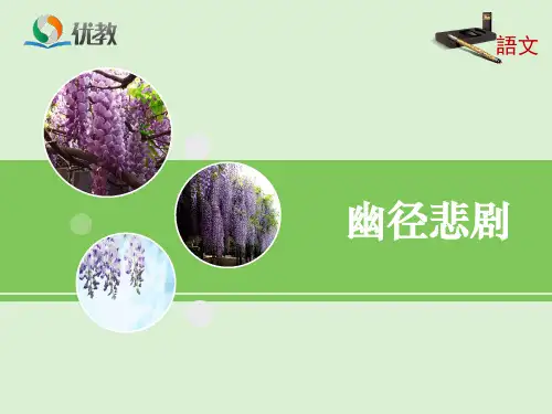 《幽径悲剧》优教课件