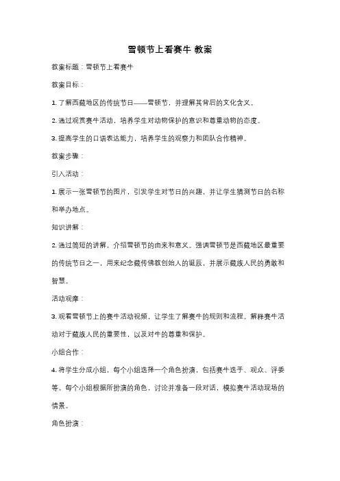 雪顿节上看赛牛 教案