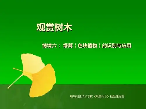 6绿篱(色块植物)的识别与应用-PPT精选文档