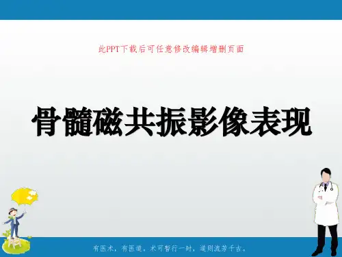 骨髓磁共振影像表现PPT