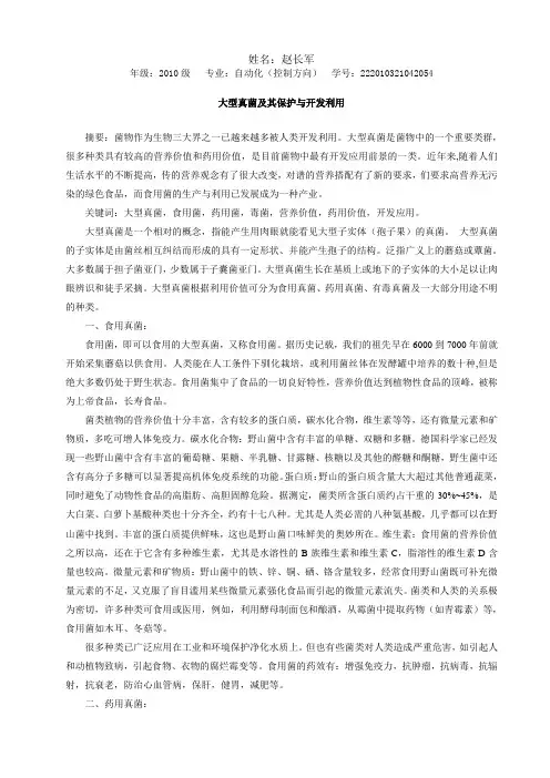 大型真菌及其保护与开发利用