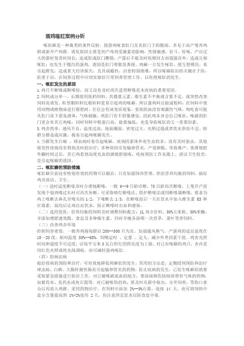 蛋鸡啄肛案例分析