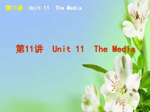北师大版高中英语必修4高考一轮复习方案第11讲 Unit 11 The Media 课件ppt